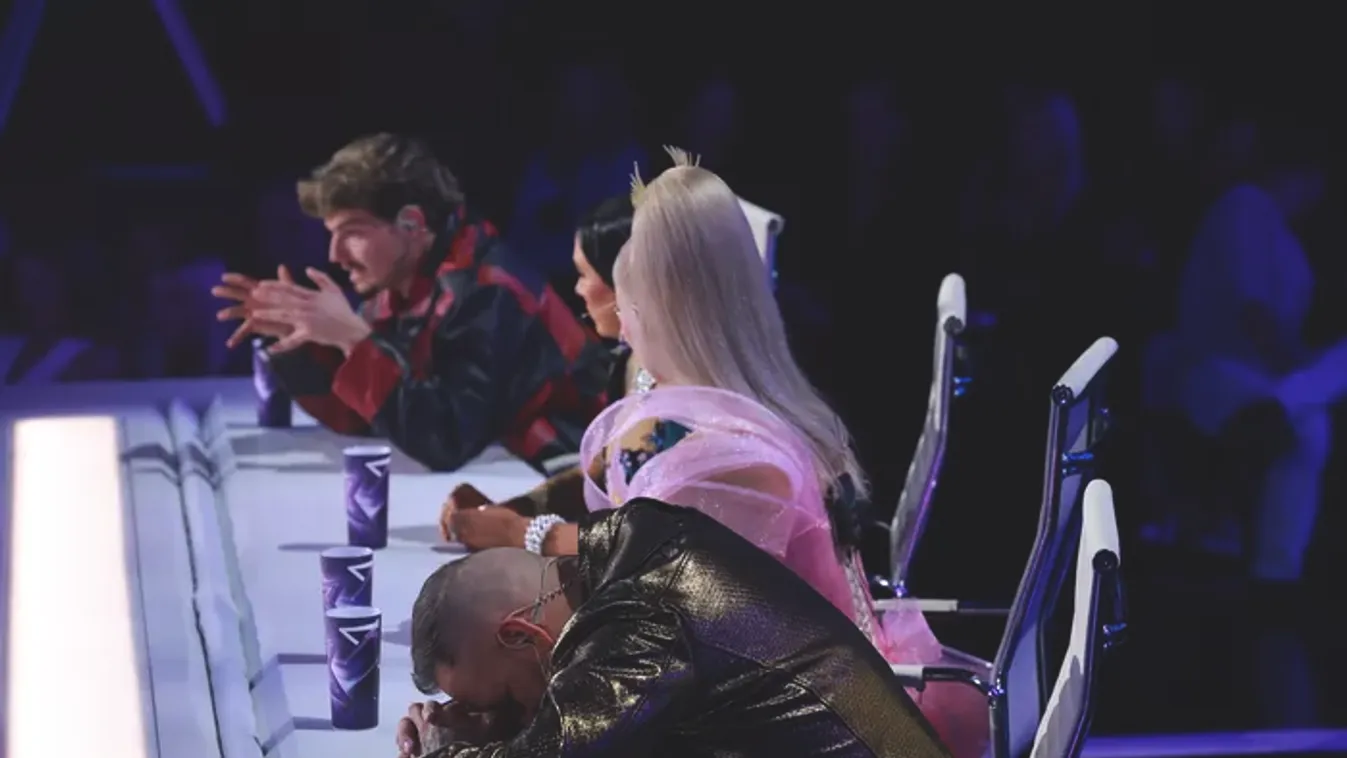 Üvöltés és villantás a Megasztár első élő show-jában - Galéria