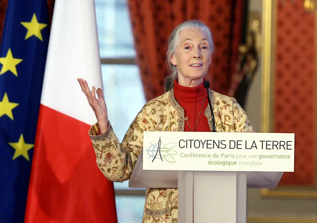 2003-ban II. Erzsébet brit királynő Jane Goodallt a Brit Birodalom Hölgyévé (Dame, DBE) nevezte ki, majd 2006-ban megkapta a Francia Becsületrendet is.