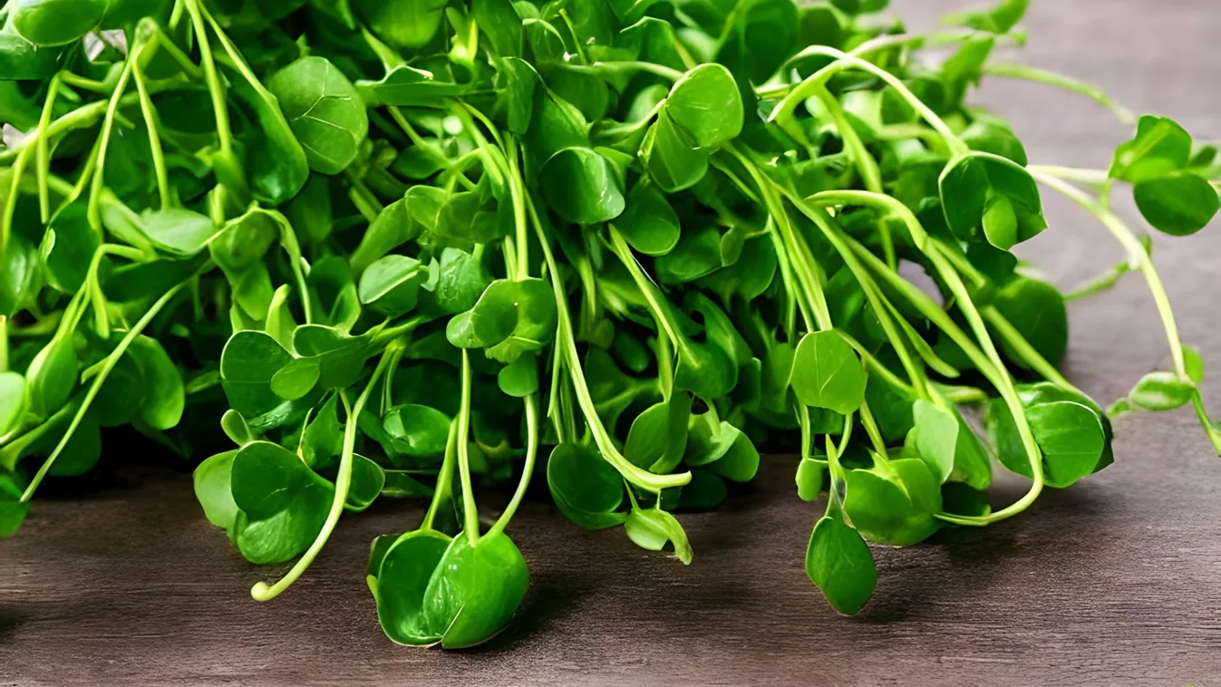 Kiderült, ez a világ legegészségesebb zöldsége – Vegyük sorra vízitorma jótékony hatásait 