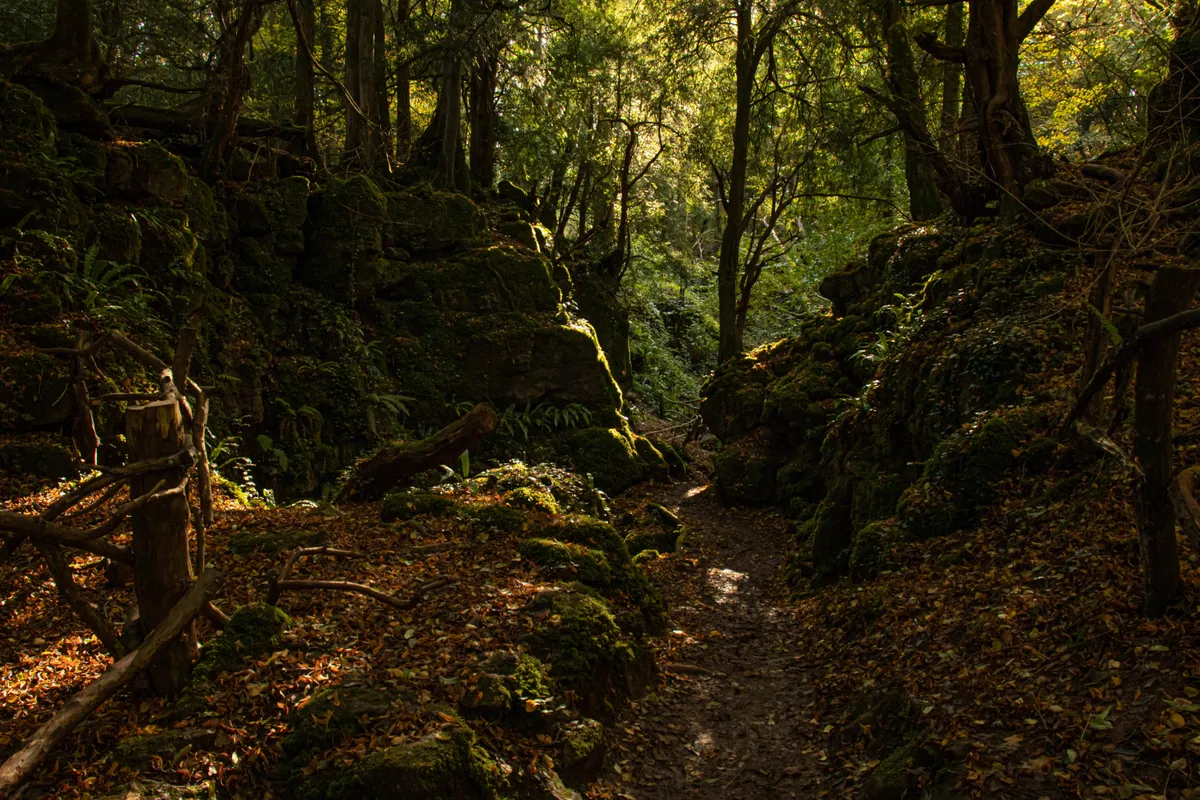 Puzzlewood mesebeli erdeje filmforgatások helyszíne volt