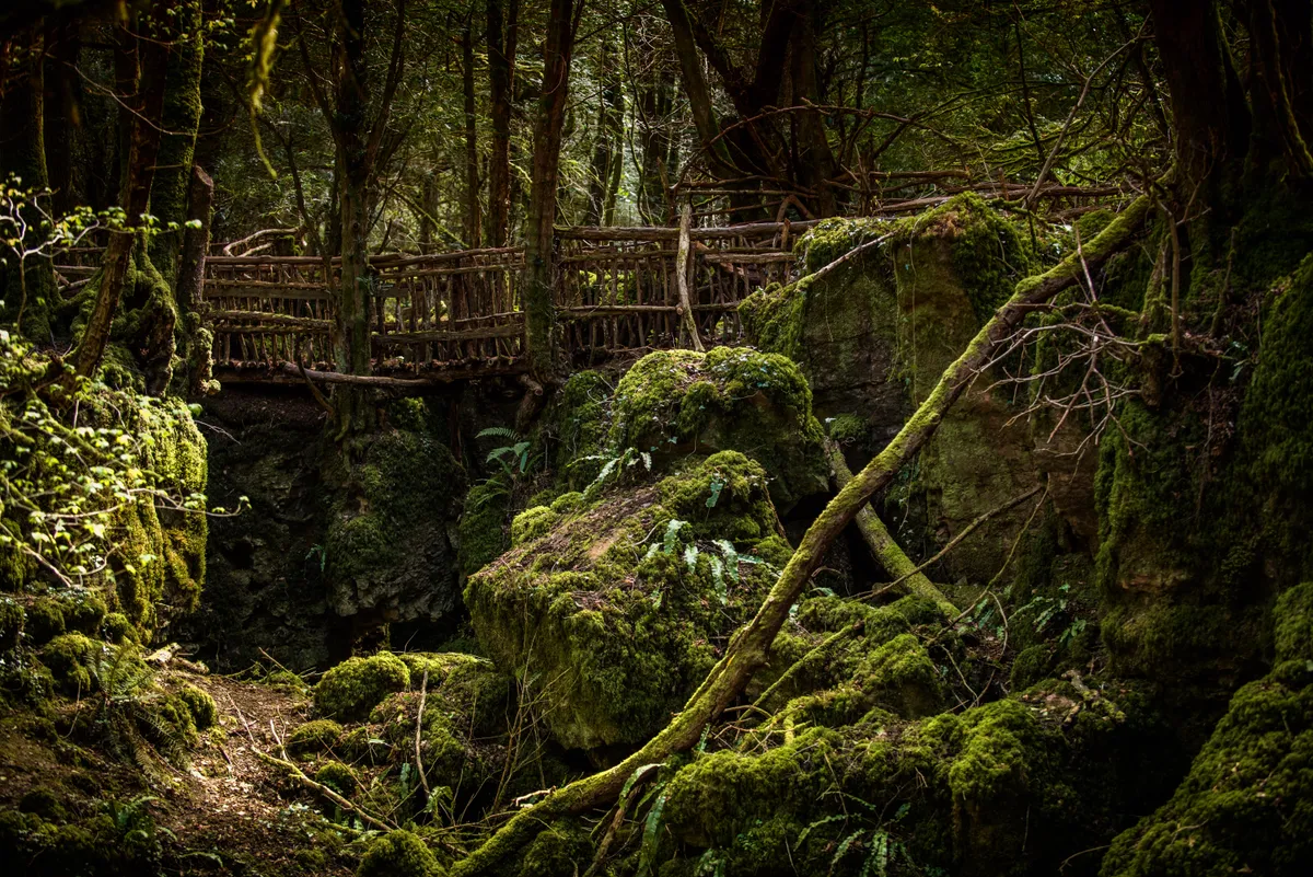 Puzzlewood mesebeli erdője filmforgatások helyszíne volt