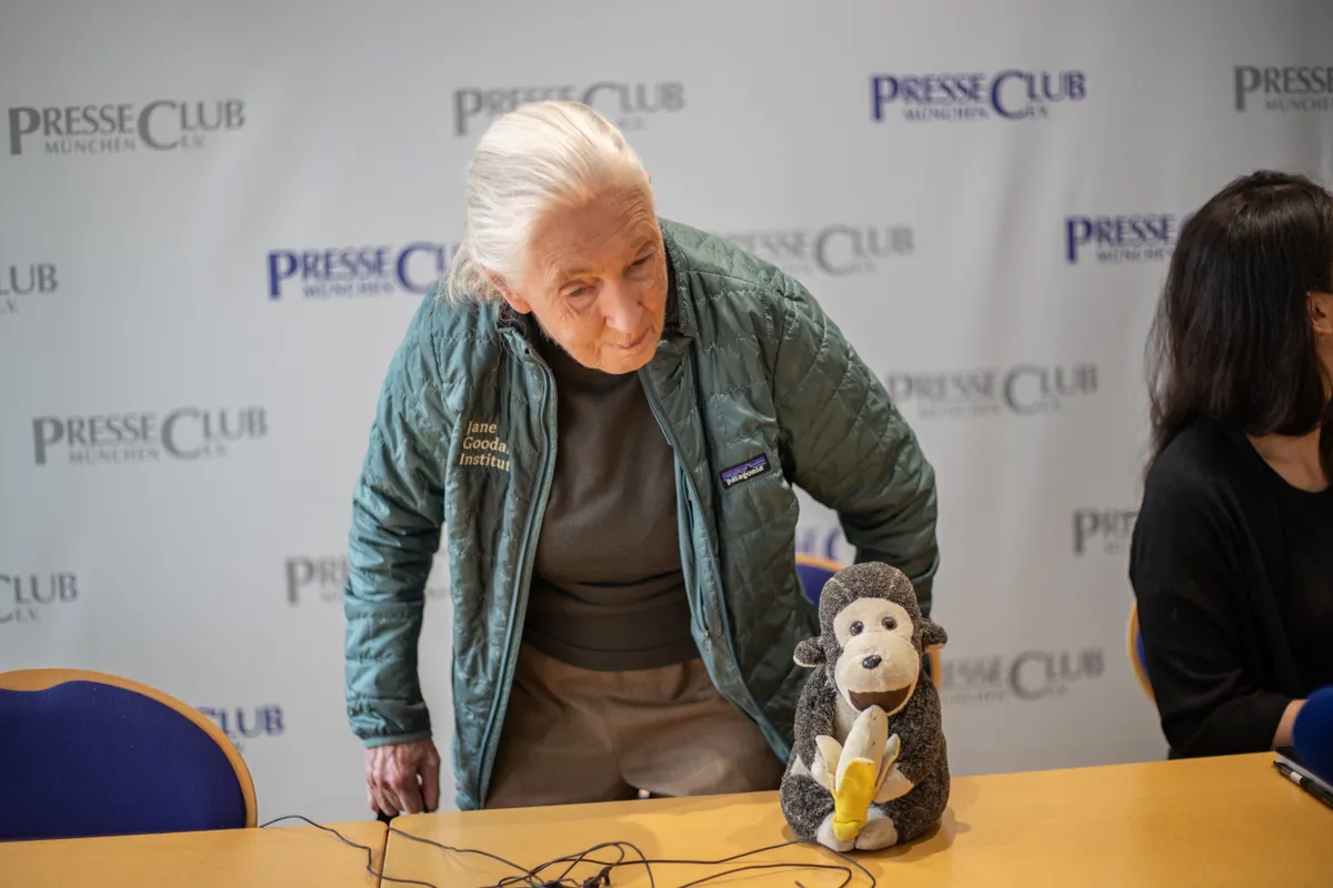 Jane Goodall at the press conference on the Day of Hope in Munich