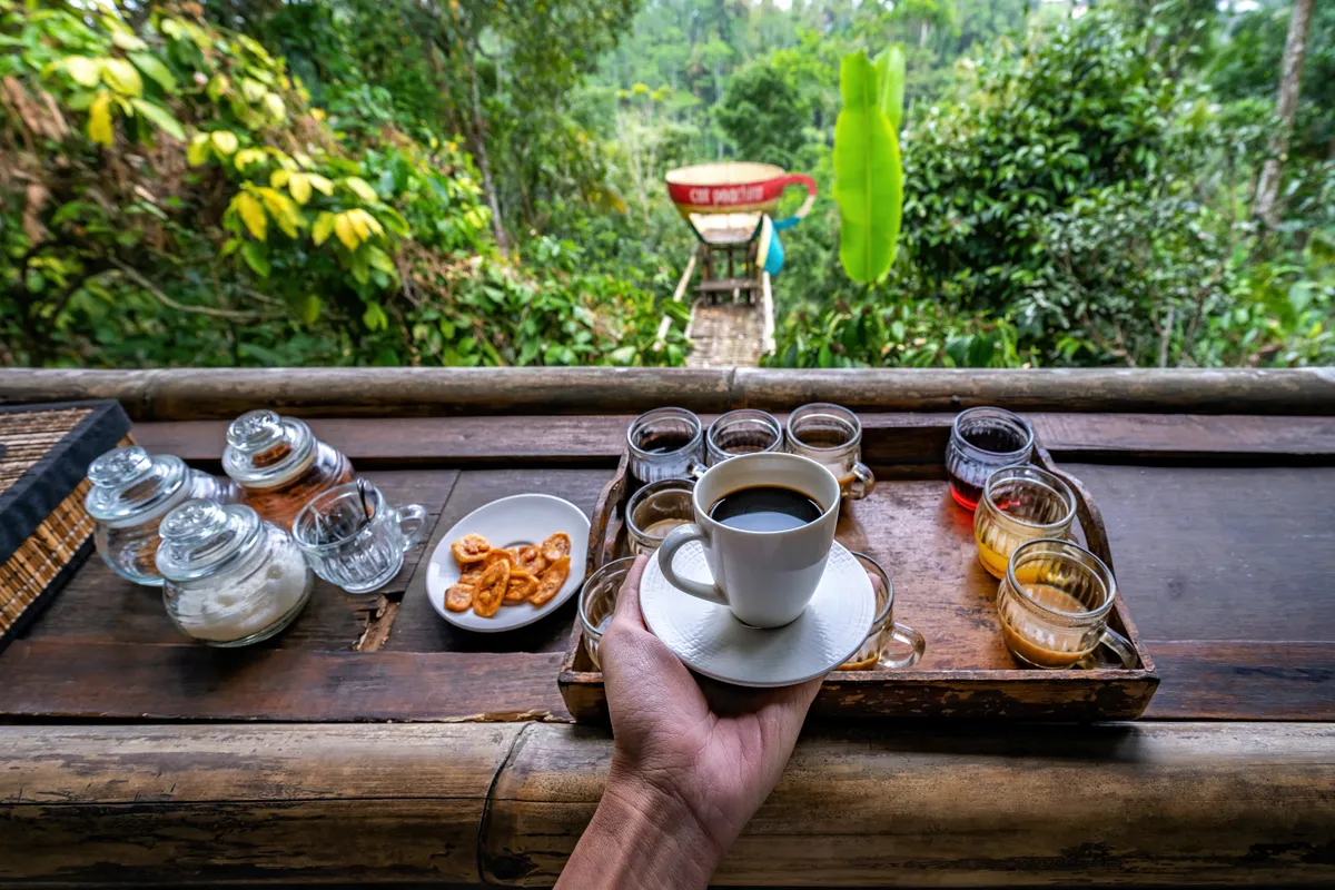 kopi luwak, Bali, kávé