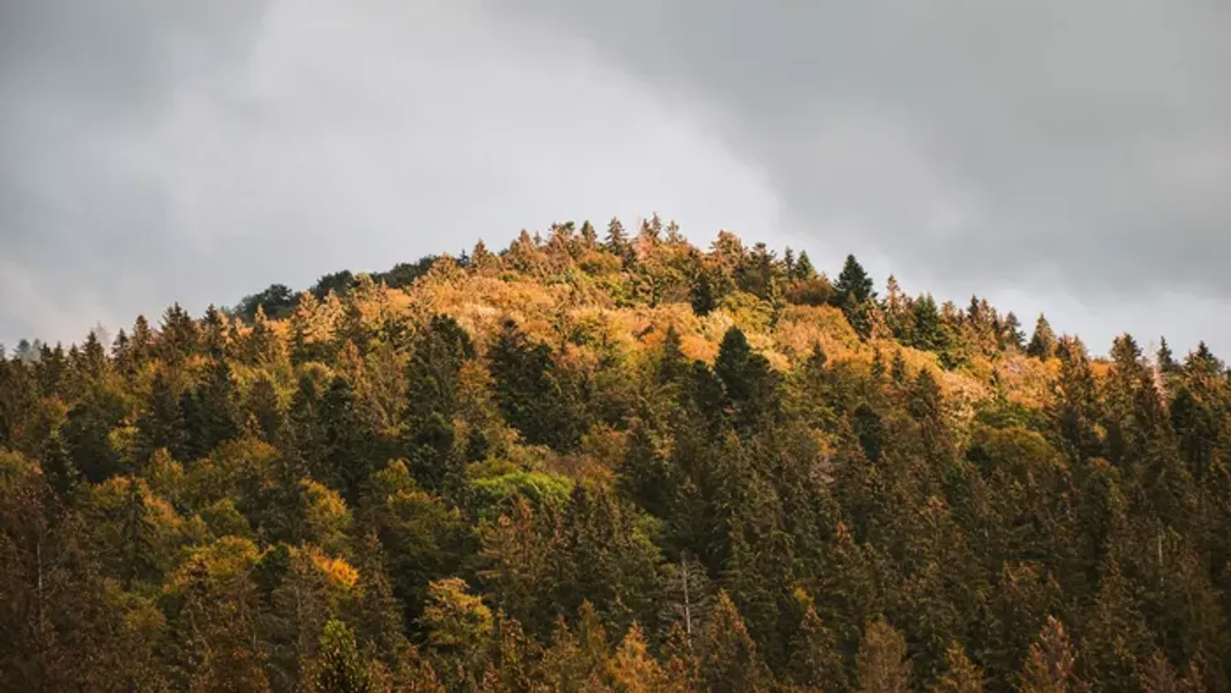 Még ne rakd el az esernyőt! Marad a felhős, borús időjárás