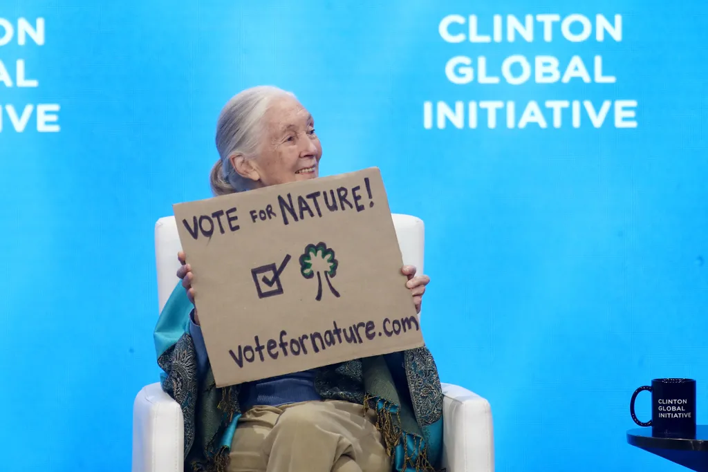 A Jane Goodall által életre hívott természet- és környezetvédelmi hálózatnak, a Rügyek és Gyökerek (Roots & Shoots) mozgalomnak ma már több mint 11 000 csoportja van 115 országban.