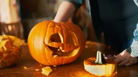 Melyik a mérgező és melyik az ehető tök? Figyelj oda, mert komoly mérgezést kaphatsz, ha halloweentökbe harapsz