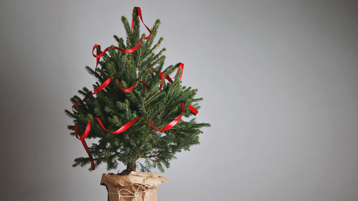 Meg fogsz lepődni: a profilozó szerint ezt árulja el a személyiségedről a karácsonyfád