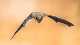 Riadót fújtak a szakértők: újabb világjárvány küszöbén állhatunk