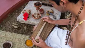 Pálmalevél-olvasás: misztikus üzenet vagy ügyes pénzlehúzás?