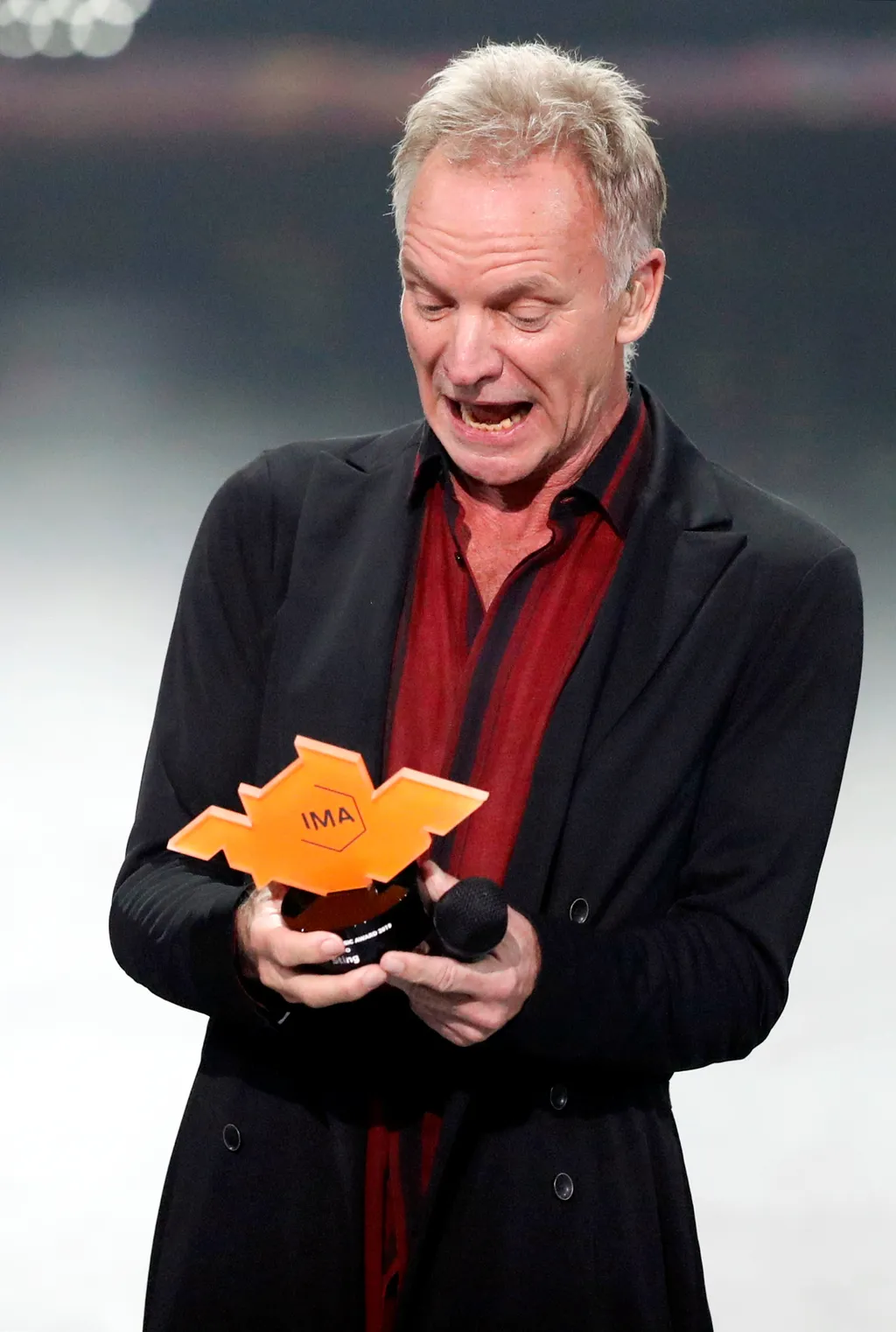 Sting galéria