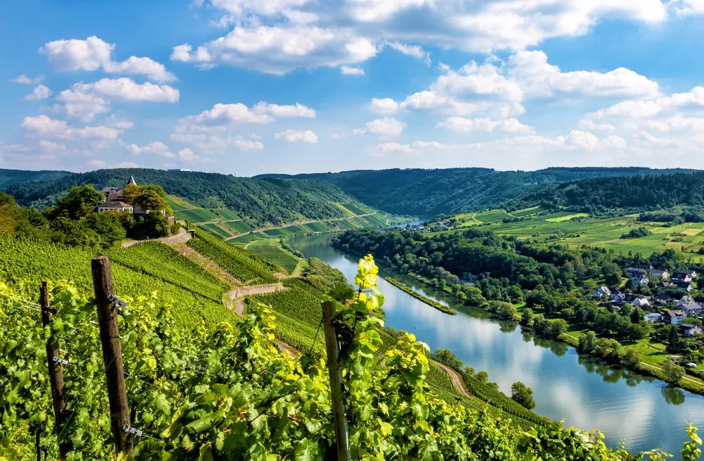 A Mosel mentén is izgalmas borút várja a borok szerelmeseit