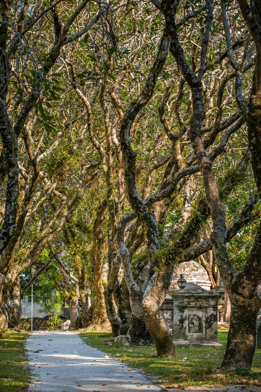 A különleges hangulatú Régi protestáns temető a malajziai Penang szigetén található, és elsősorban a sziget gyarmati múltjának neveit temették itt el, többek között Sir Francis Light-ot is, aki a szigetet - a britek legelső délkelet-ázsiai gyarmataként - megszerezte a Brit Korona számára. Vadregényes frangipani fáiról és ódon sírköveiről nevezetes.