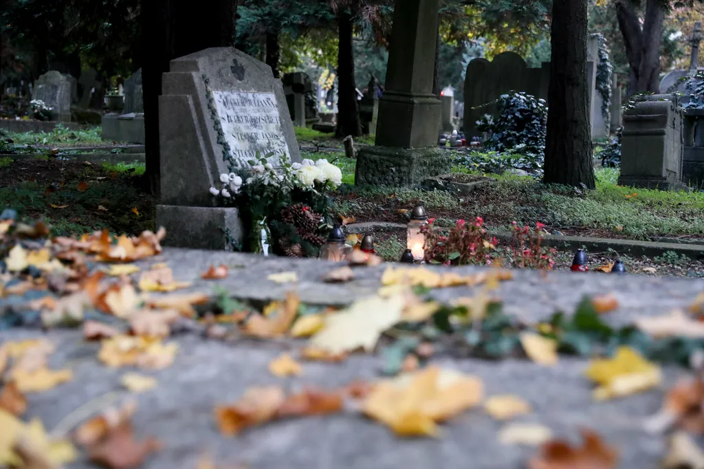 A szombathelyi Szent Márton-sírkert kulturális örökség és egyike Magyarország és a kontinens legrégebbi és egyben legtovább is használt temetőinek.