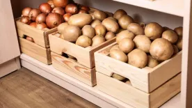 Burgonya tárolása: ezen az apróságon múlik, hogy friss marad a krumpli