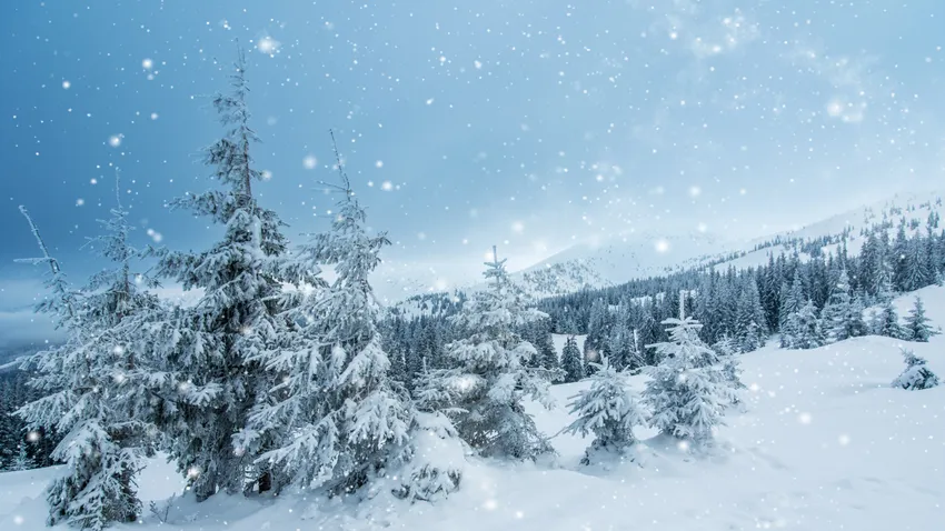 Kvíz kérdést ábrázoló kép