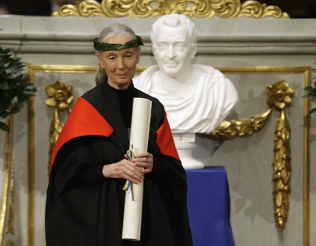 Jane Goodallt számos egyetem választotta díszdoktorává, mint a hollandiai Utrechti Egyetem, a müncheni Ludwig-Maximillian Egyetem, a skót Stirling Egyetem, a taiwani Providence Egyetem, és több amerikai egyetem.