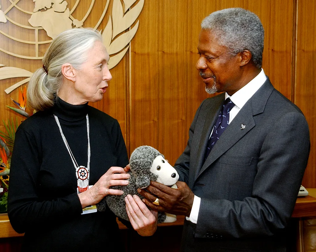  2002 áprilisában Kofi Annan, az ENSZ főtitkára „a Béke hírnöke” címet adományozta Jane Goodallnak.