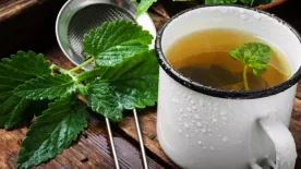 A hétköznapok szuperitala a borsmenta tea: ez történik a testeddel, ha rendszeresen fogyasztod ezt az ízletes nedűt