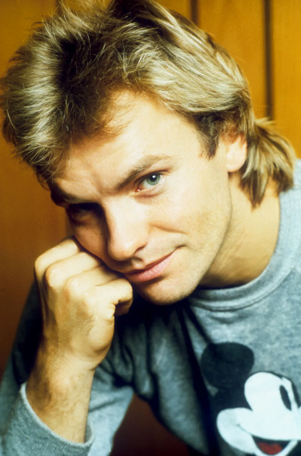 Sting galéria