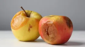 Megbarnul az alma? Házi praktikák, hogy tovább friss maradjon