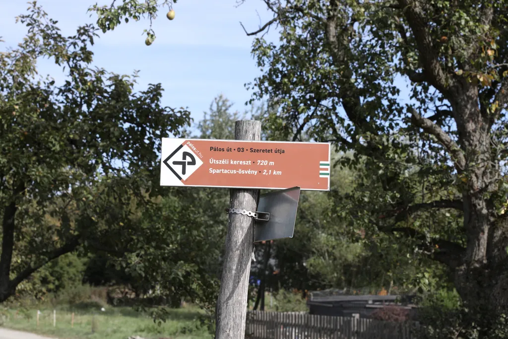 Kaszás Niki utolsó útja