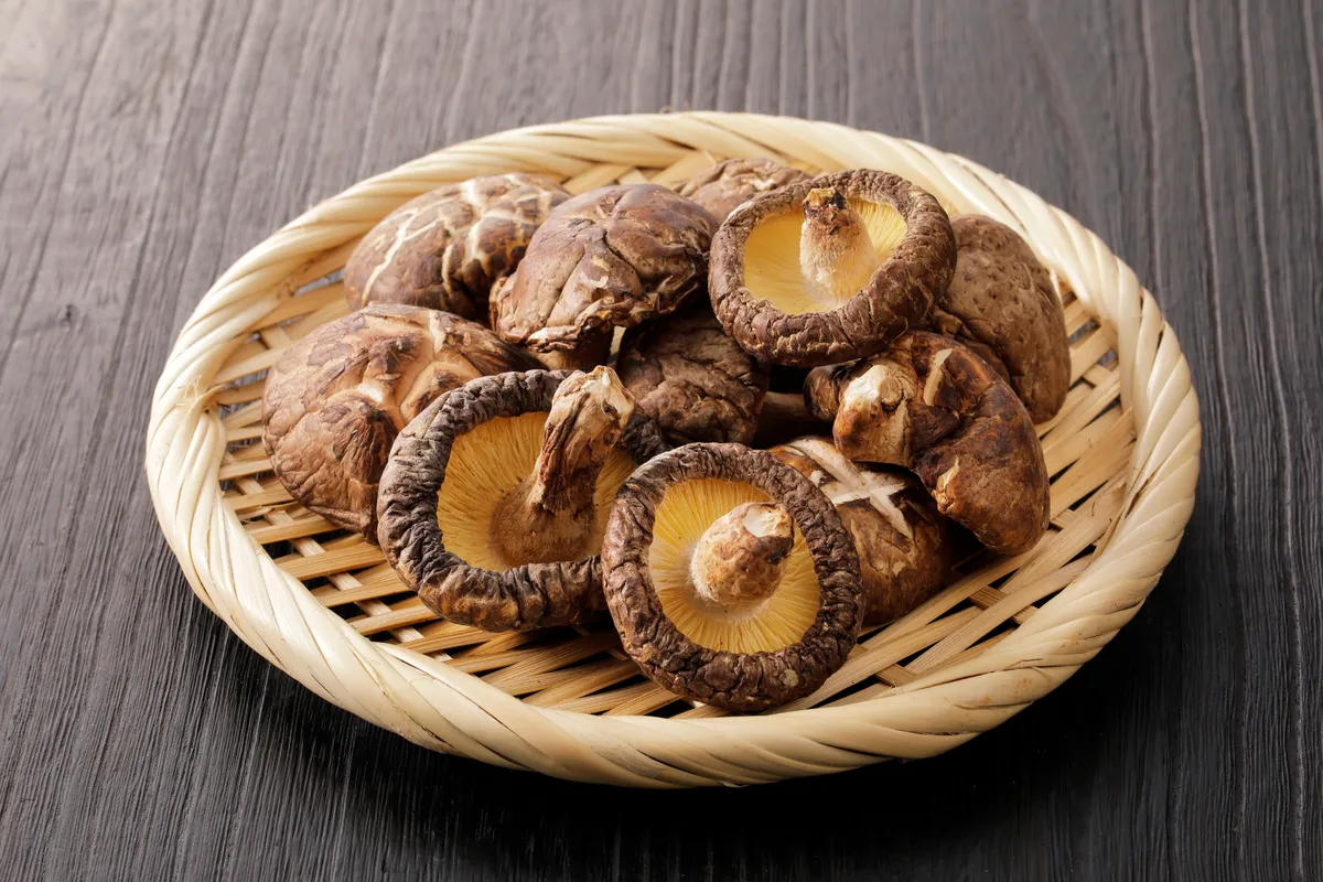 Shiitake gomba segíthet az idősek szaga ellen.