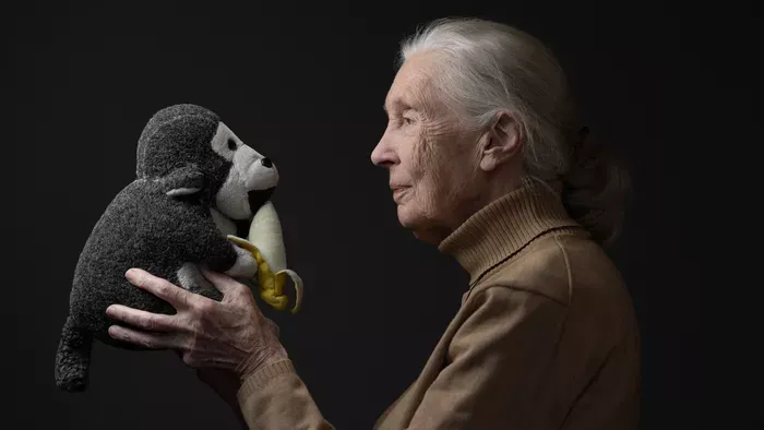 Jane Goodall áldozatos élete képekben