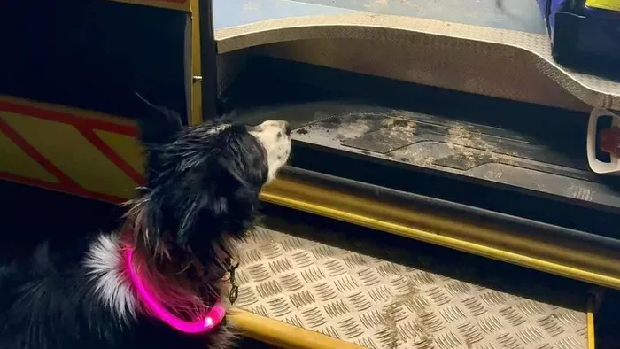 Megszólal a kutyáját mentő, aknába zuhant lány