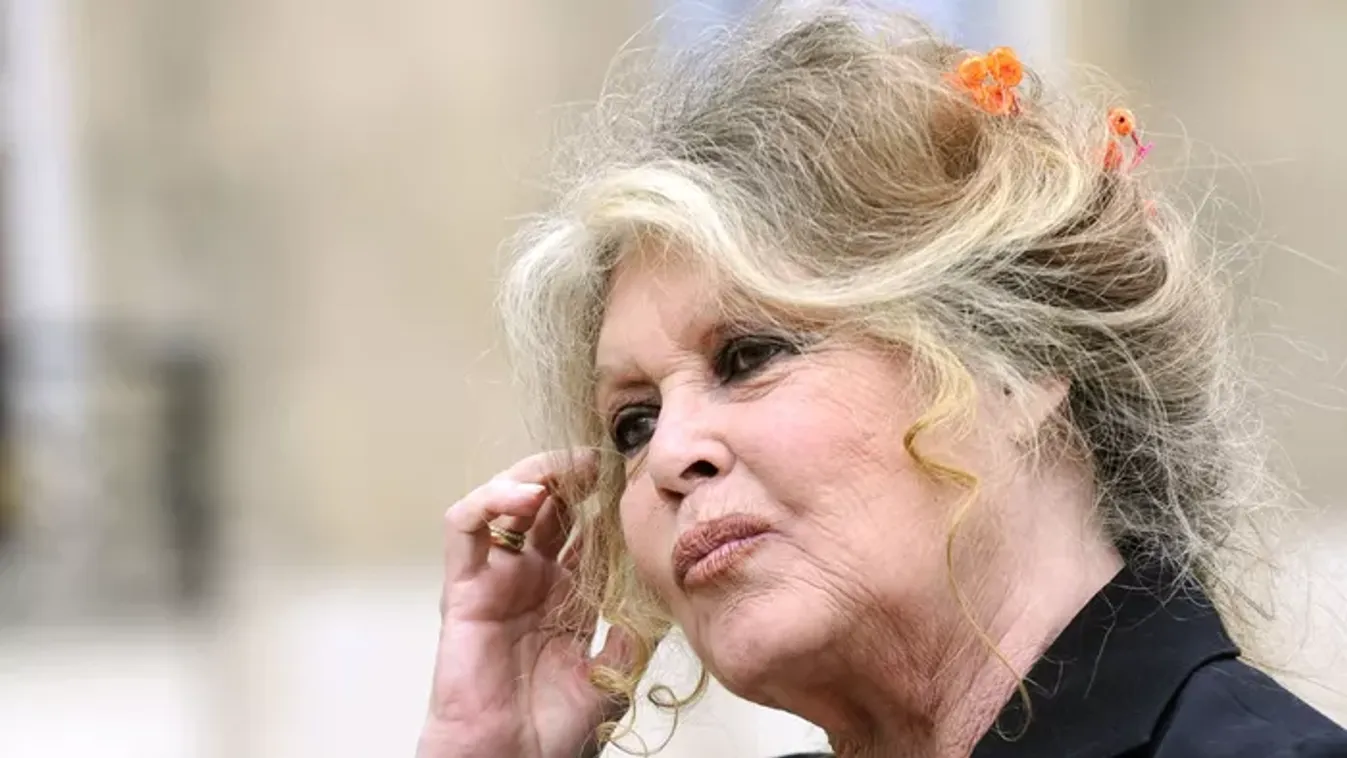 Aggódnak a rajongók: rohantak a mentők, Brigitte Bardot kórházba került