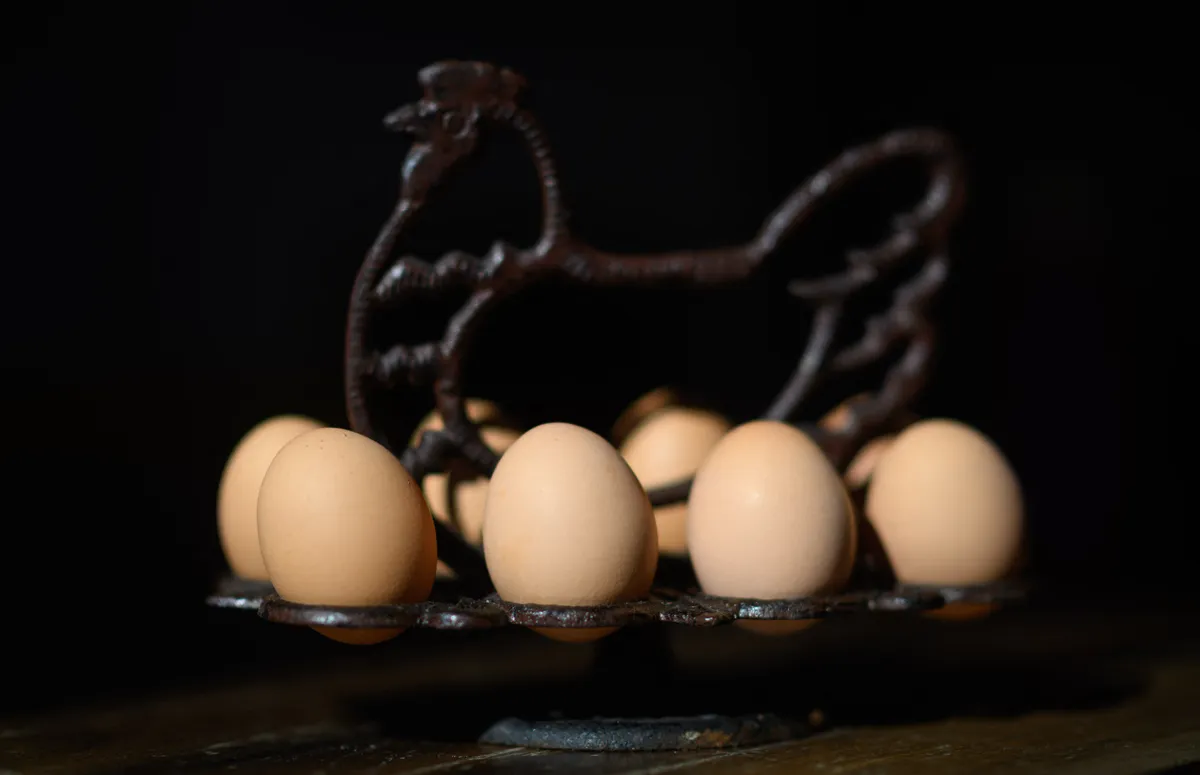 A tyúktojás előbb létezett, mint maga a tyúk.