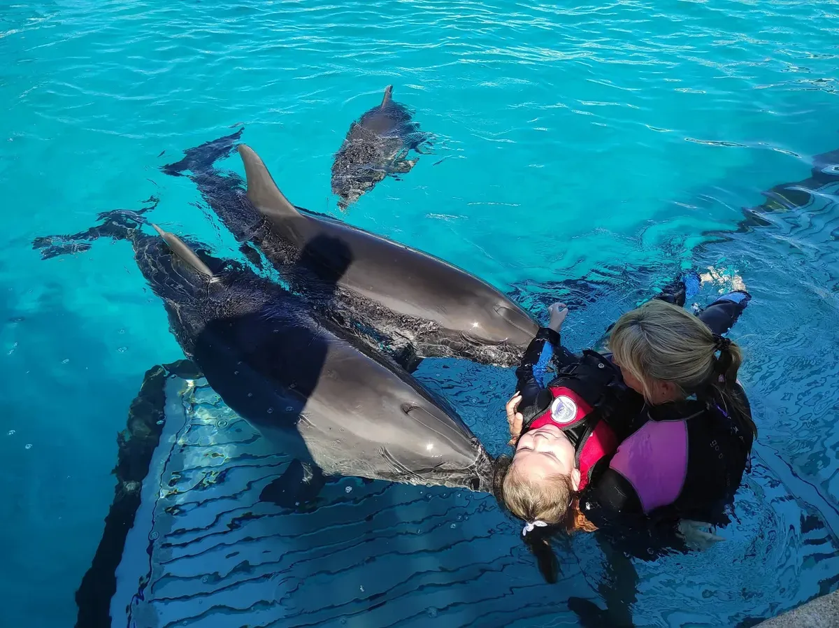 Lilla idegrendszeri eredetű betegségét különleges terápiák segítik. A terápiák ellazítják az izmait, és elősegítik őt, hogy visszanyerje a normális járását és mozgását. Lilla már három alkalommal vett részt delfinterápián. Az édesanyja bízik benne, hogy ezek a kezelések hosszú távon is eredményesek lesznek az epilepszia ellen
