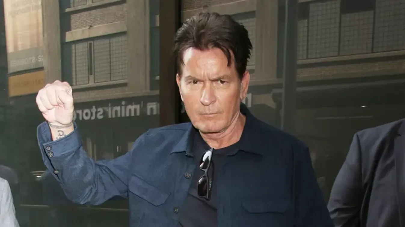 Charlie Sheen: A szerelmi életem nem létezik!