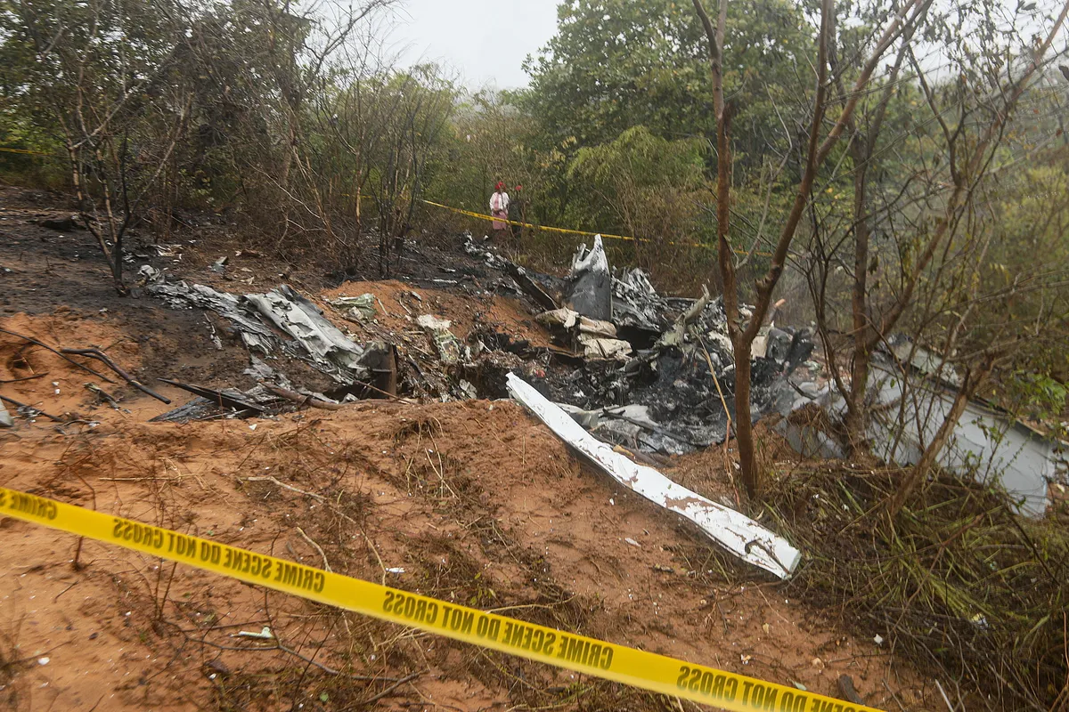 Az erdő, ahol a Süllős Gyula családjának gépe lezuhant. A sűrű növényzet nehezítette a mentést és a helyszín felderítését