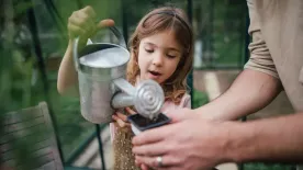 Csapadékvíz elvezetése házilag pofonegyszerűen: így védd meg otthonod a nem várt vízmennyiségtől