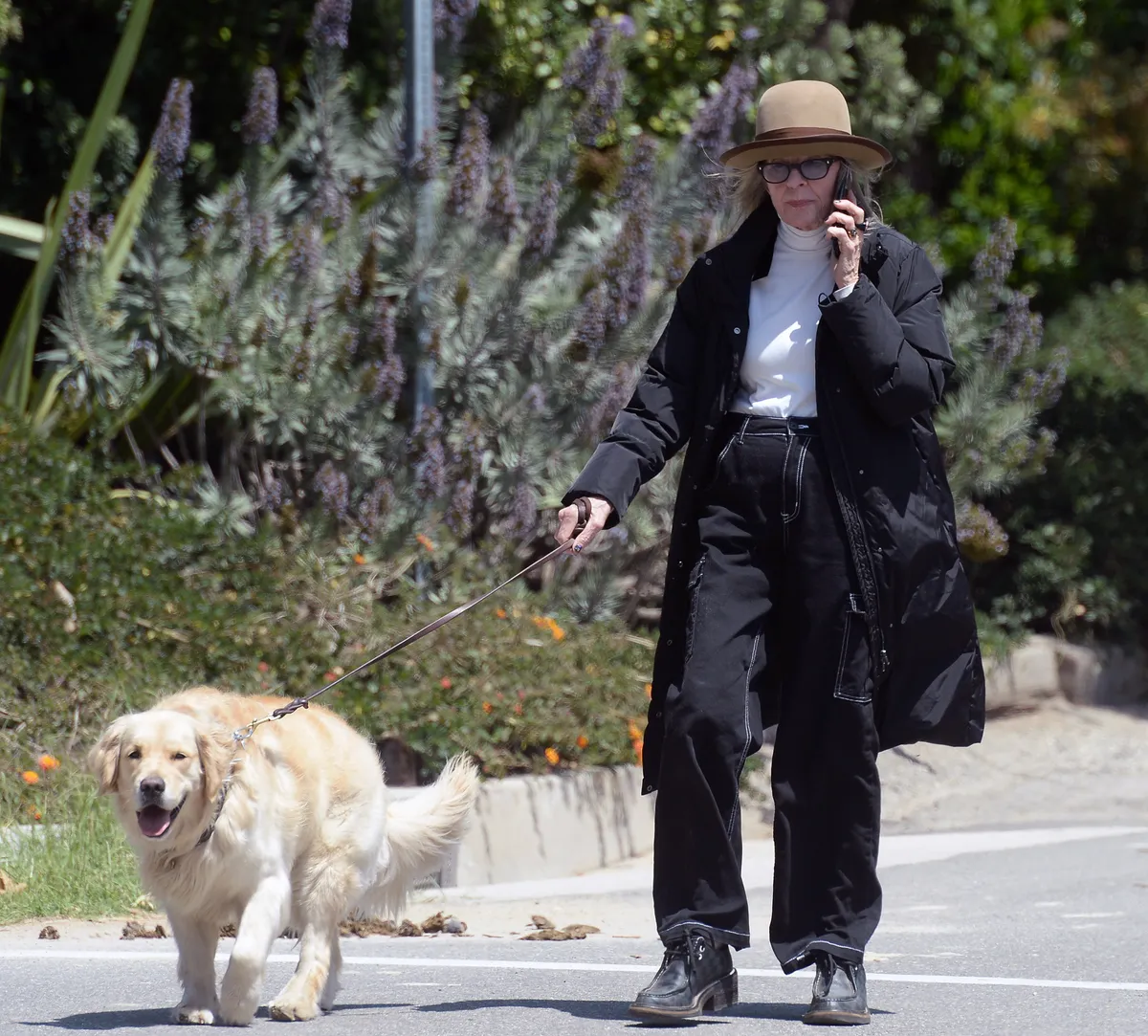 EXCLUSIVE: Diane Keaton Steps Out For a Dog Walk in Los Angeles