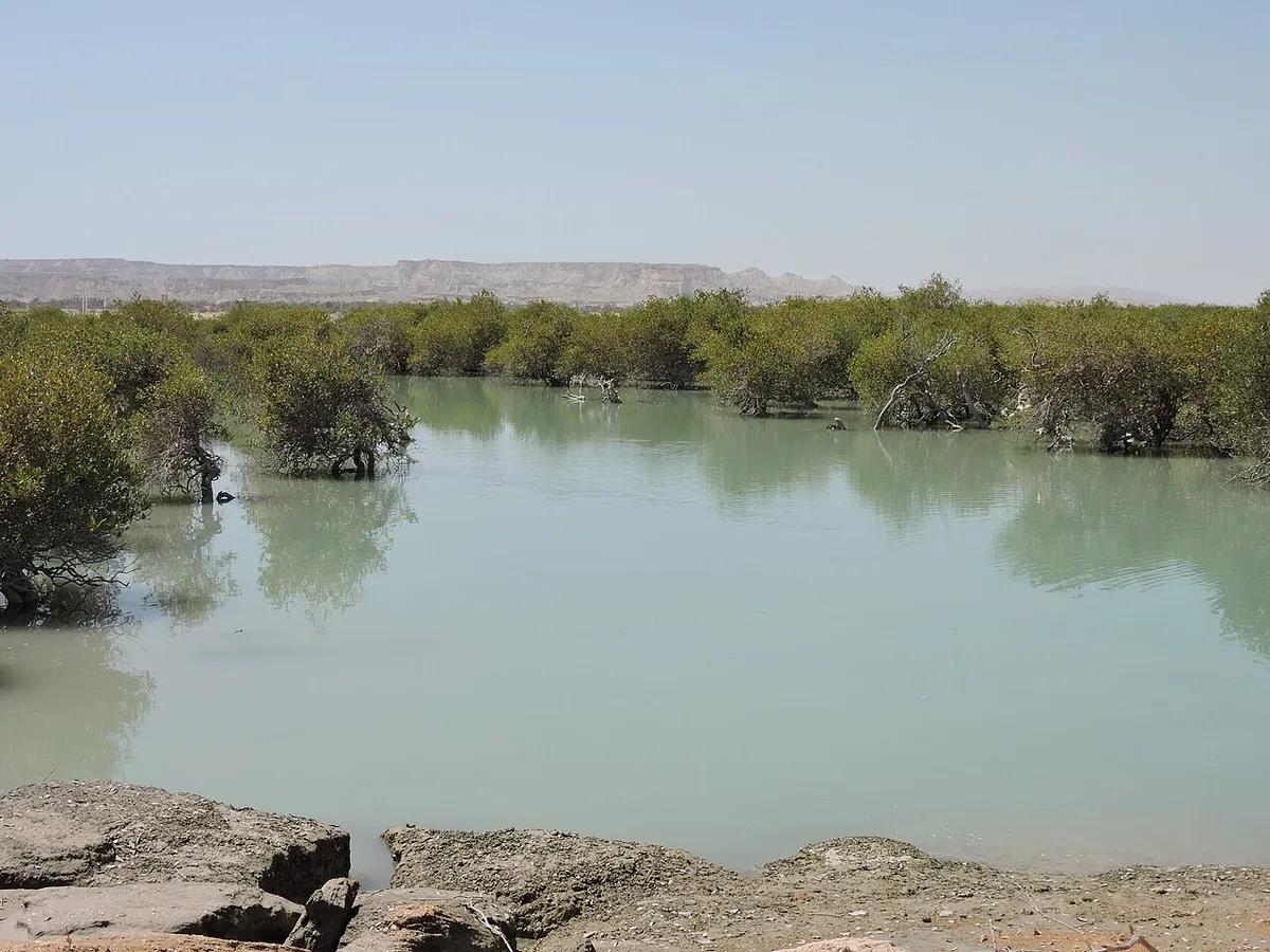 Az iráni Qeshm-sziget varázslatos mangroe-erdeje