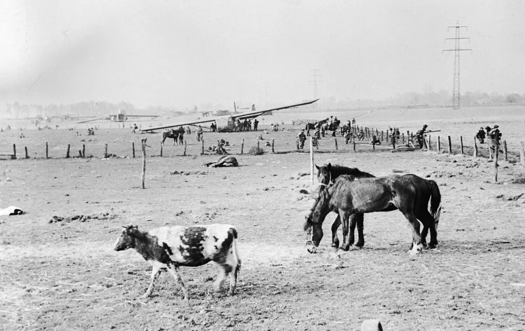 A vitorlázó repülőgépek leszállóhelye, ahol a szövetséges légideszant-hadsereg leszáll a Rajnán át Weselnél, a holland határ közelében, 1945. március 24-én