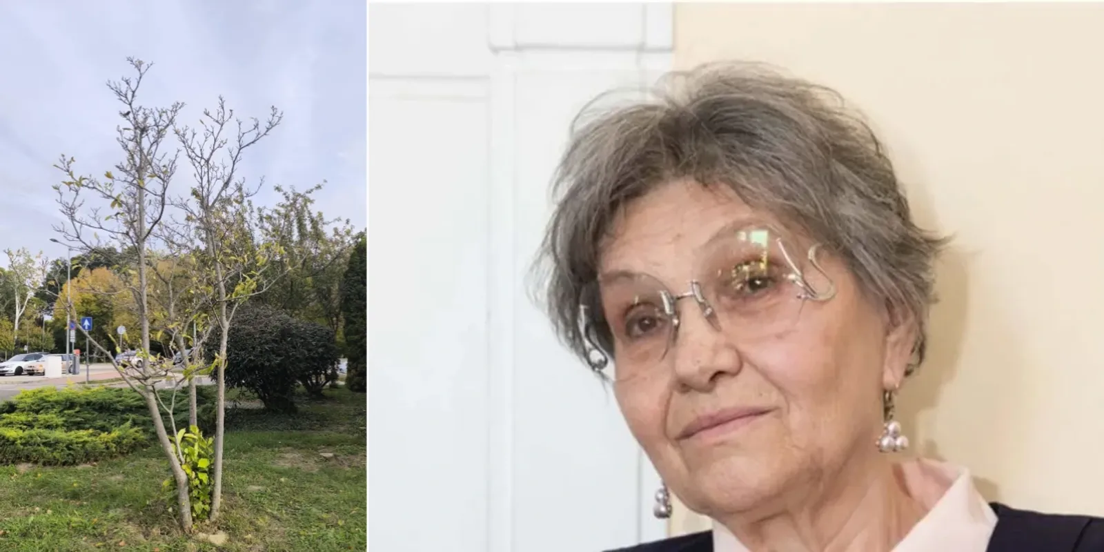 Eltűnt valami Pécsi Ildikó kertjéből: itt találták meg