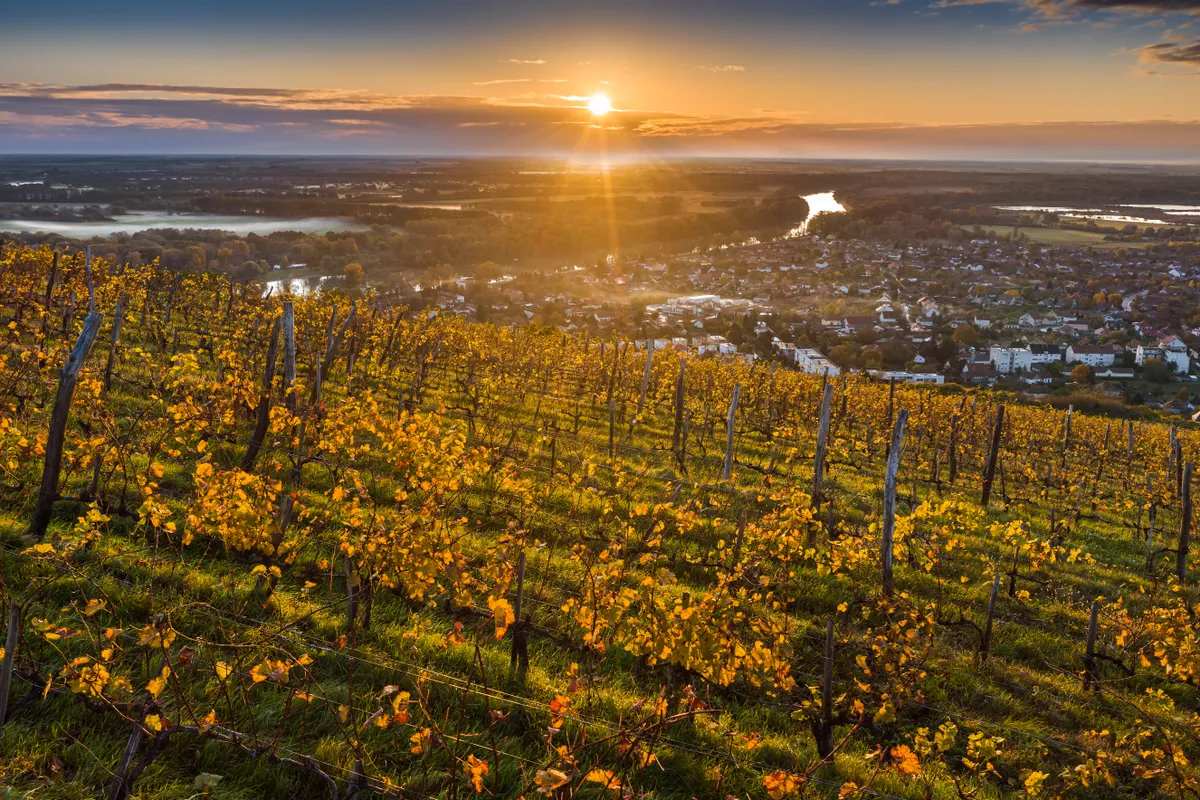 Tokaj a magasból őszi időszakban