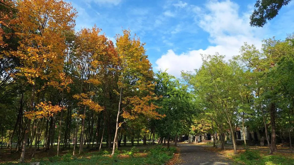 A sírkert Magyarország egyik legszebb közparkja is, ahol egy csendes séta tökéletes őszi program lehet