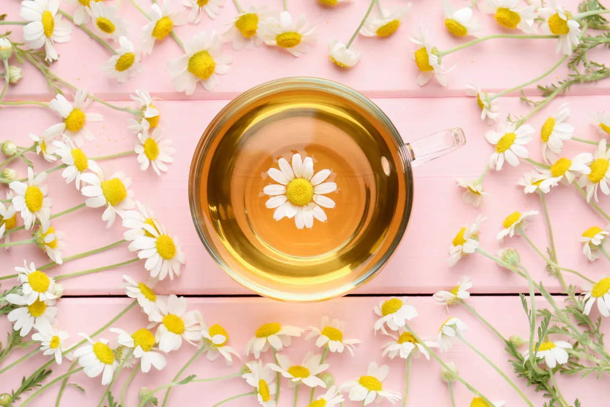 Kamilla tea