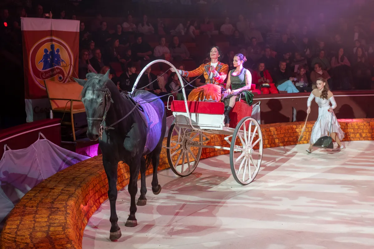 Fővárosi Nagycrikusz mindent elsöprő bemutatója