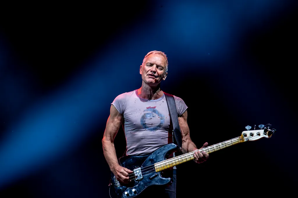 Sting galéria