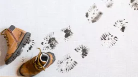 Viszlát sáros cipőnyomok: 10 tuti tipp rendszerető háziasszonyoknak