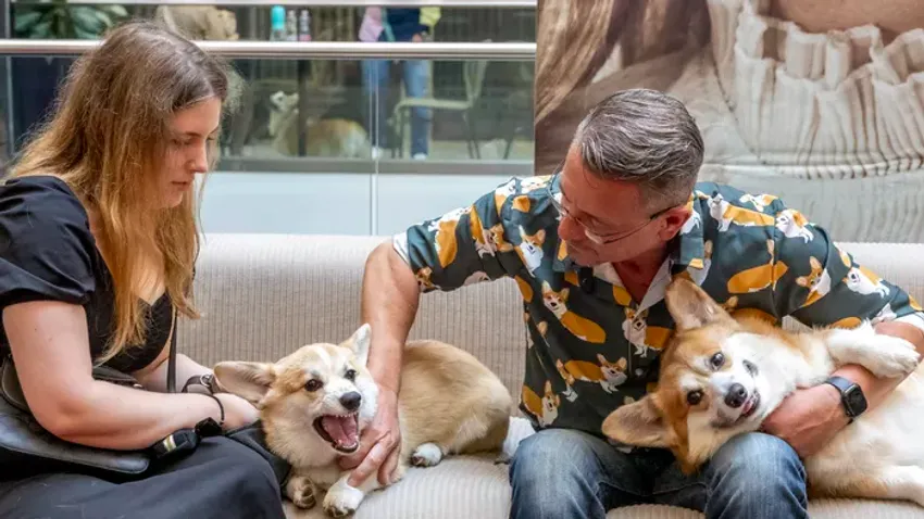 Ilyen volt Budapest első Corgi találkozója