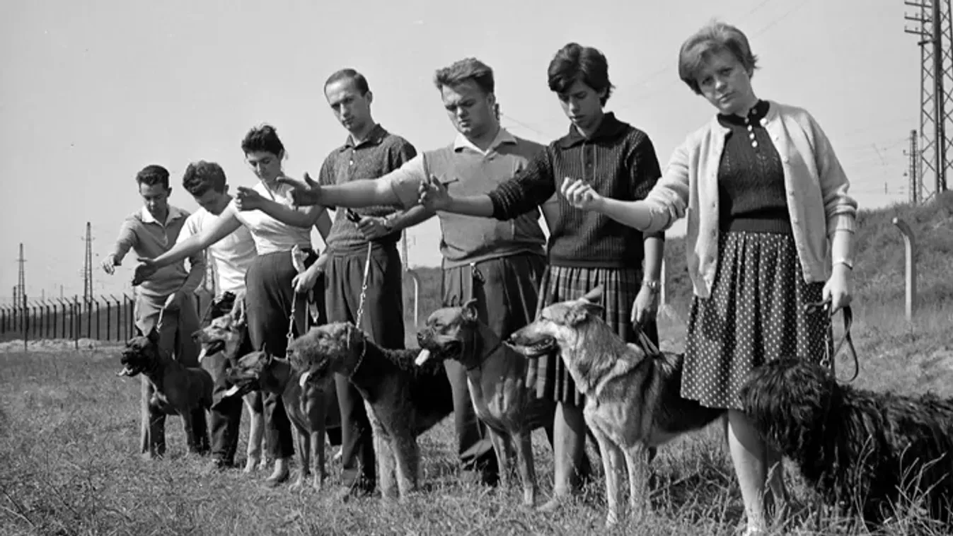 Magyar retró kvíz – A legműveltebbek közé tartozol, ha hibátlanul ki tudod tölteni