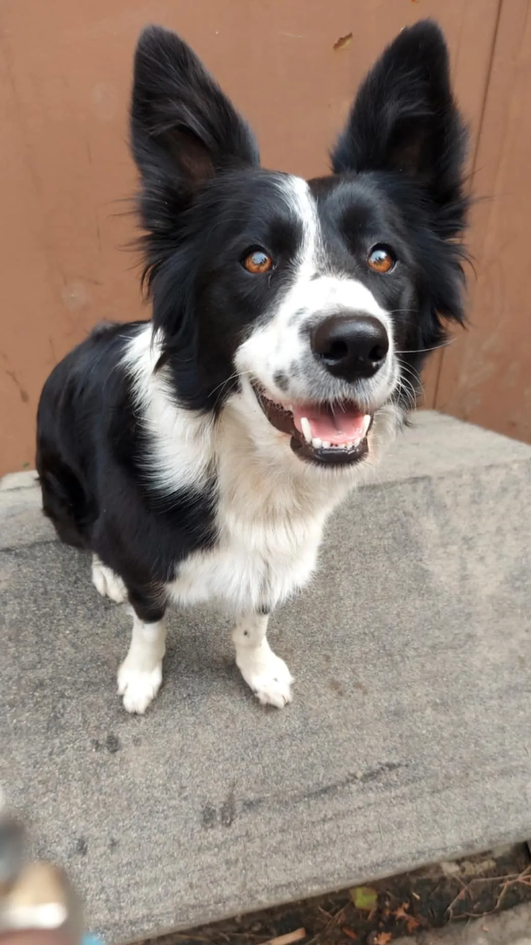 A két éves Csillagot Emilynek sikerült az aknából kimenteni /