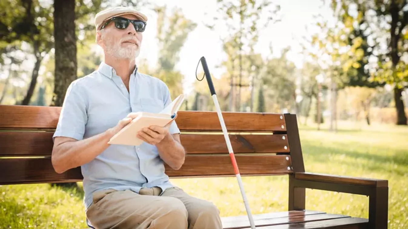 Tudtad, hogy a Braille-írás katonai titkosírásból született? Teszteld kvízünkben, mit tudsz a látássérültek életéről
