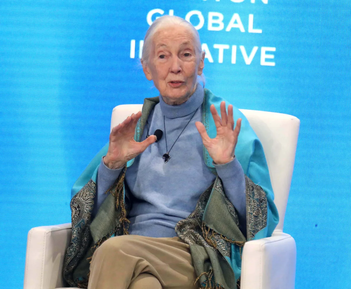 Clinton Global Initiative 2024 - Day 2