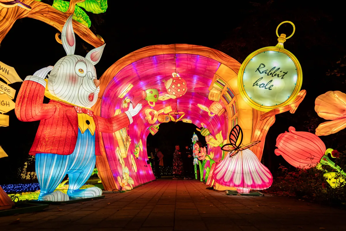 Garden of Lights, a fények kertje